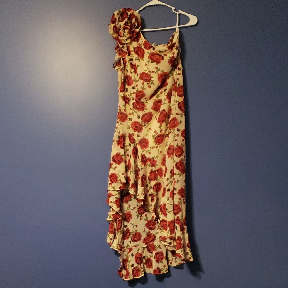 Floral Sleeveless Dress - Red and Cream
